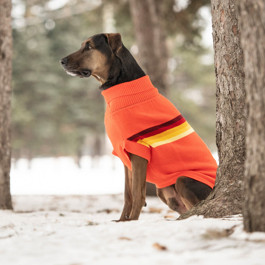 GF PET® Retro Sweater - Orange