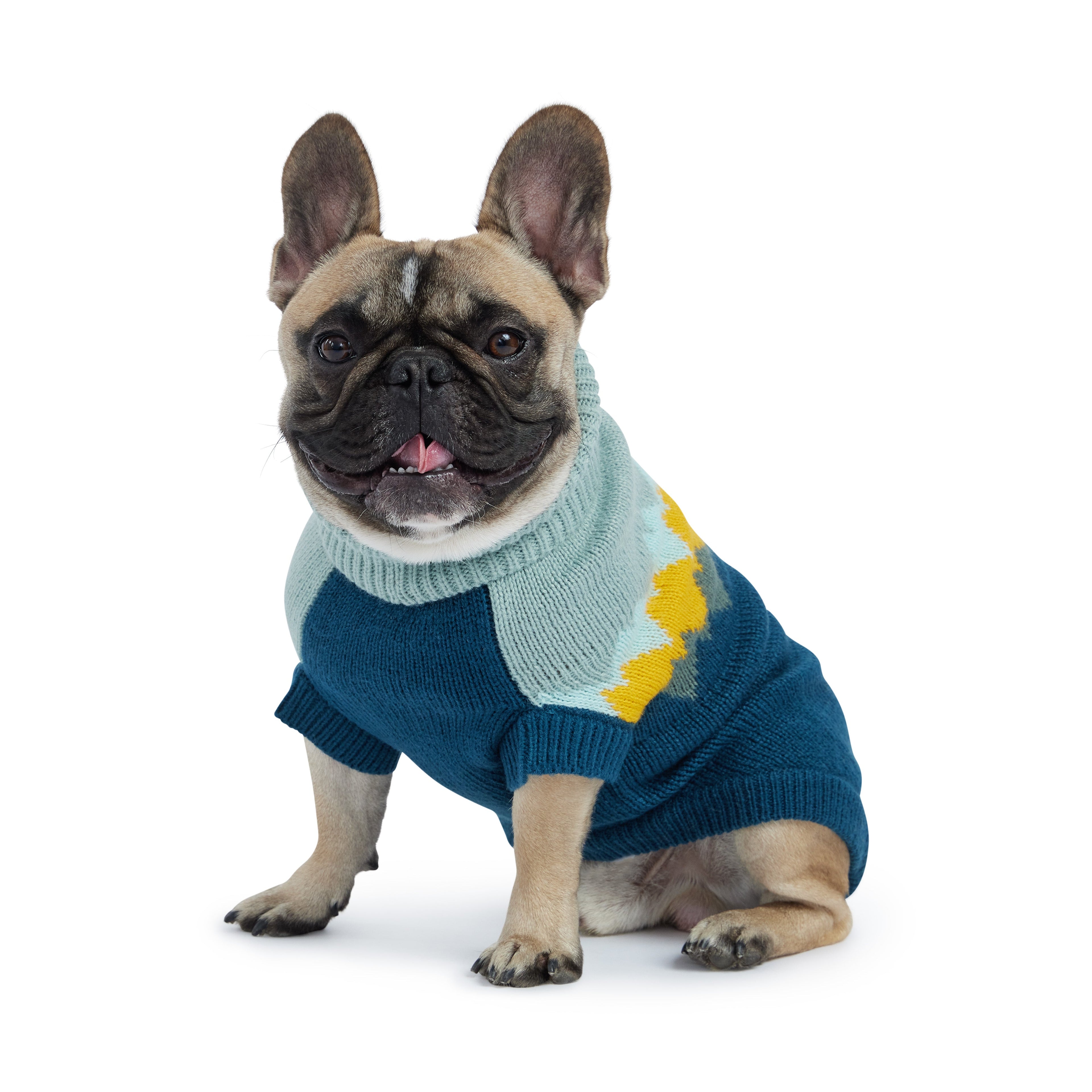 GF PET® Fireside Sweater - Teal