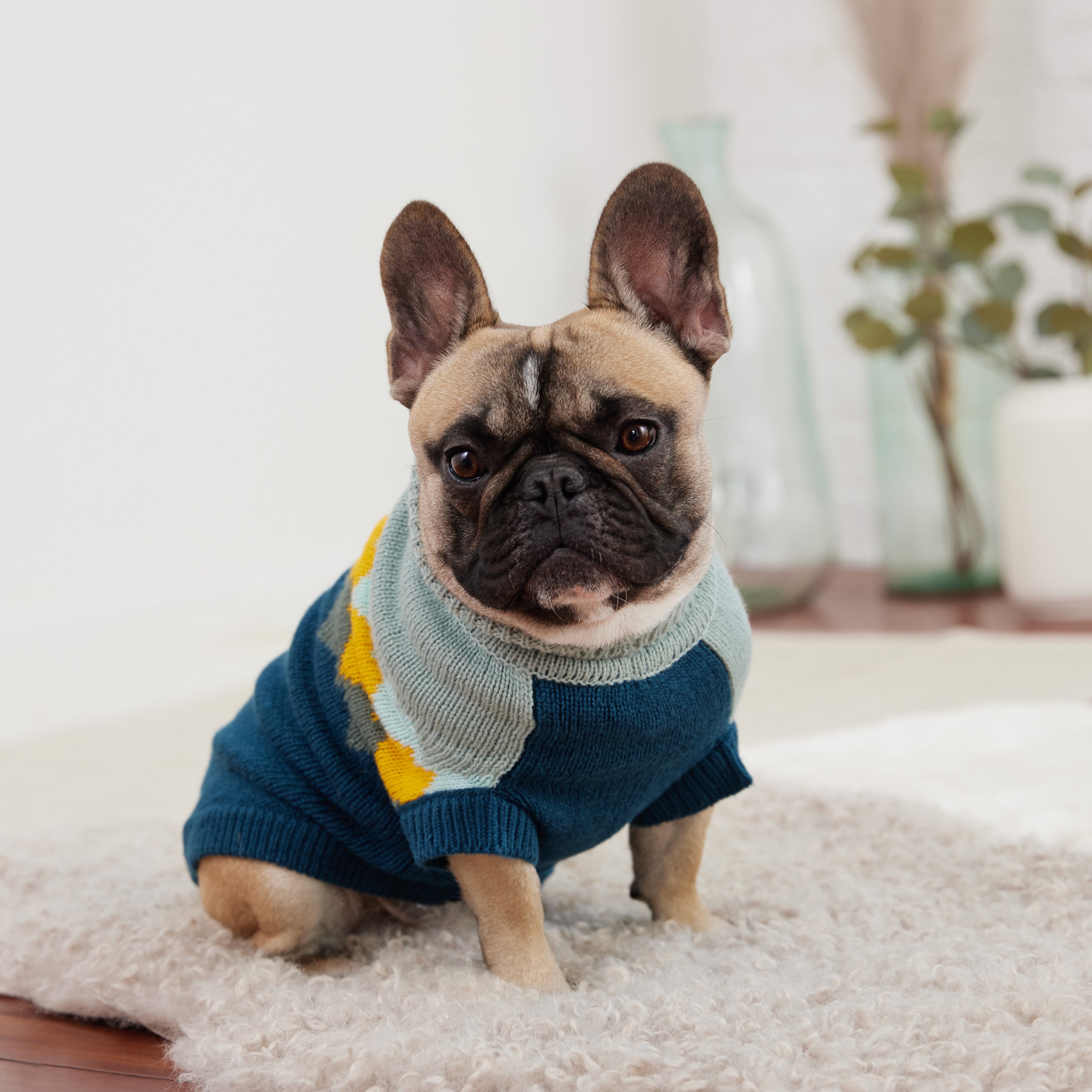 GF PET® Fireside Sweater - Teal