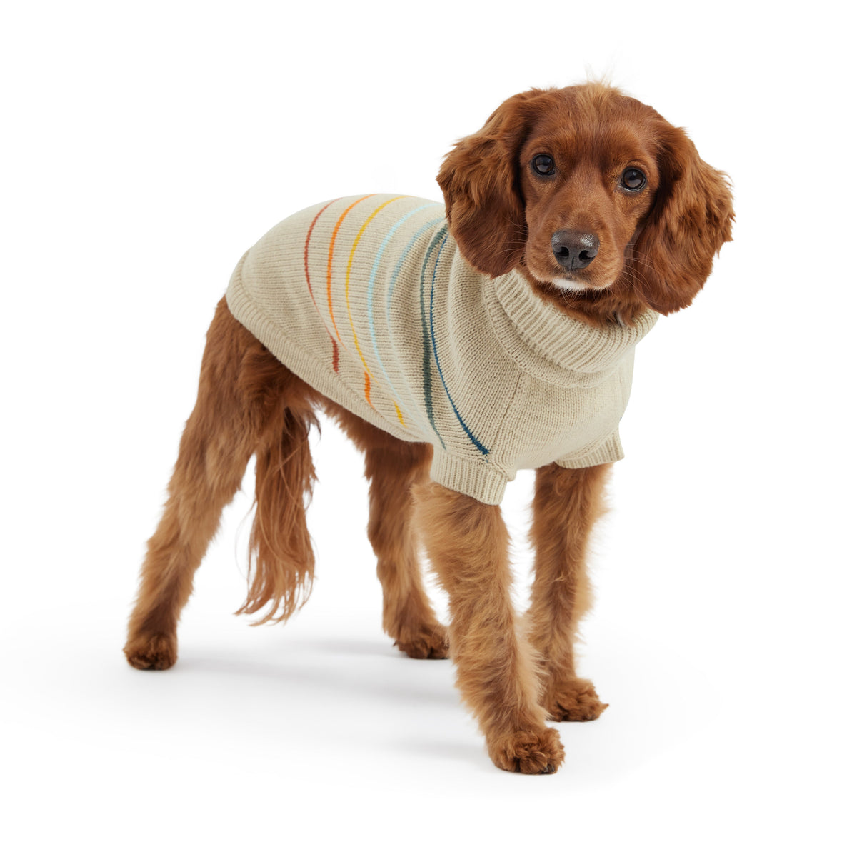 GF PET® Arctic Sweater - Sand