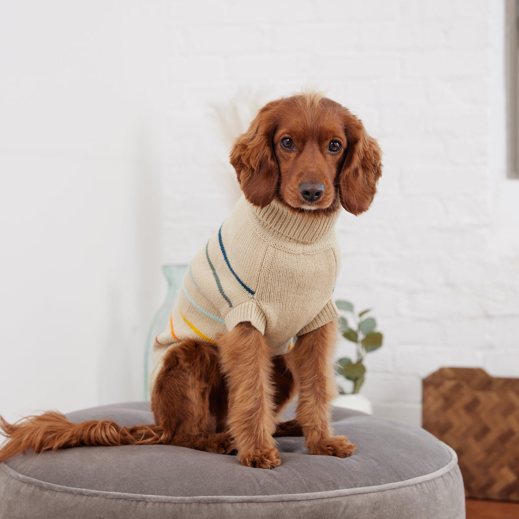 GF PET® Arctic Sweater - Sand