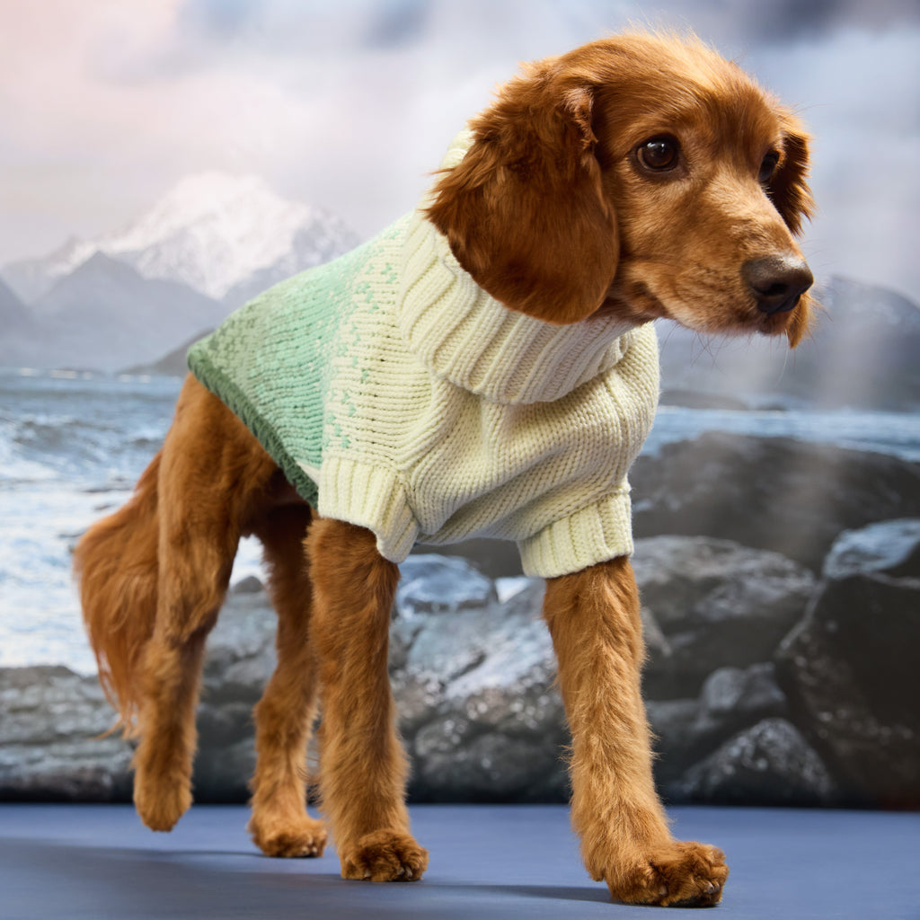 GF PET® Fisherman Sweater