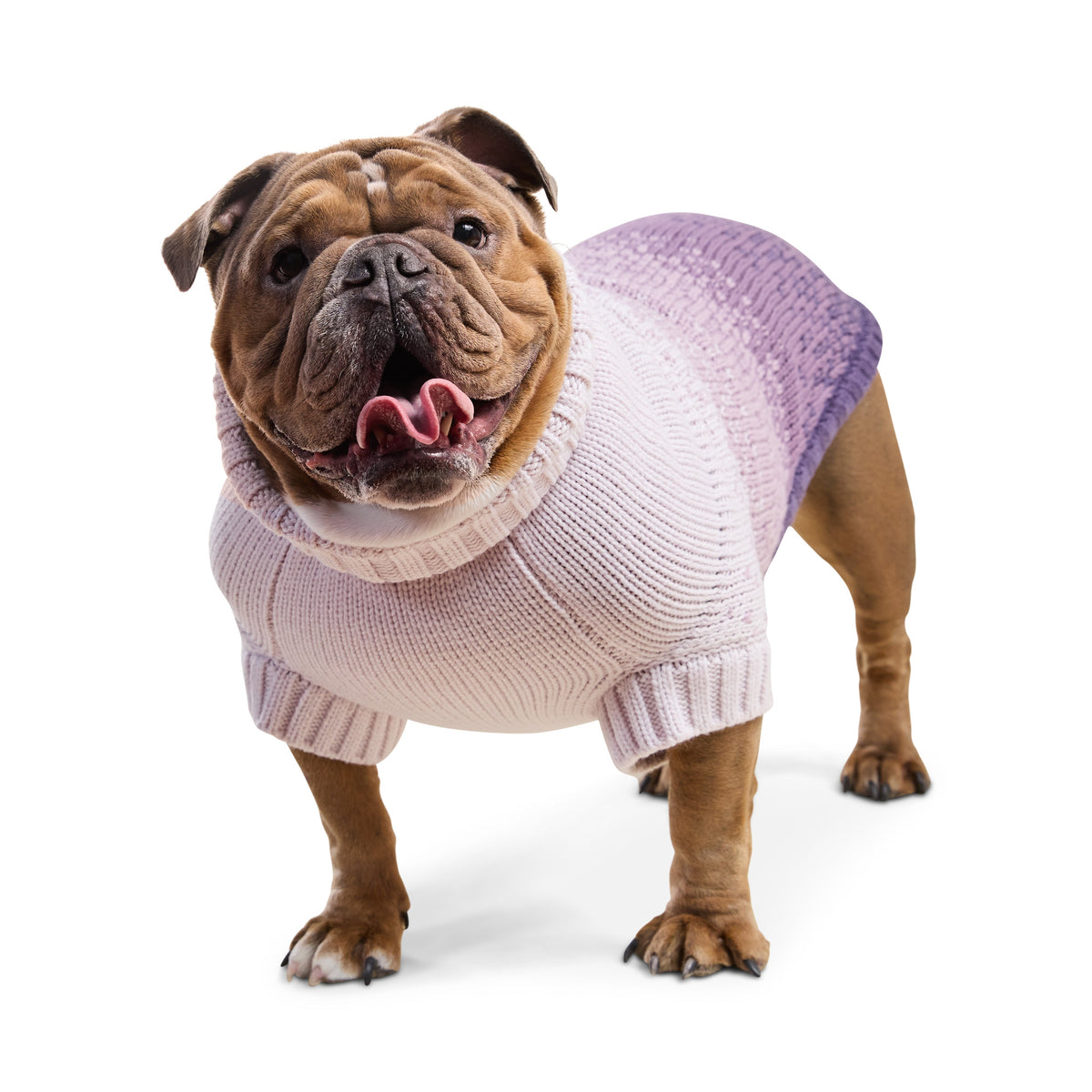 GF PET® Fisherman Sweater