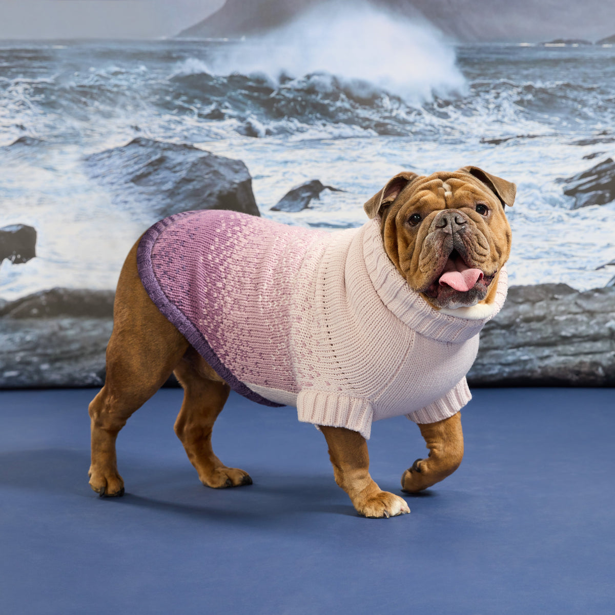 GF PET® Fisherman Sweater
