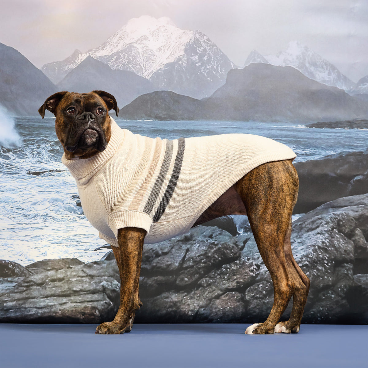 GF PET® Coastline Knit Sweater