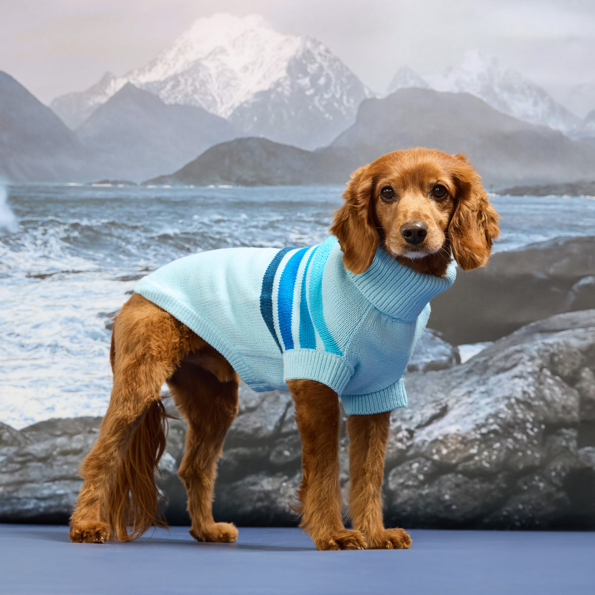 GF PET® Coastline Knit Sweater
