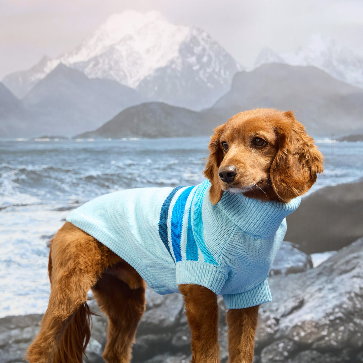 GF PET® Coastline Knit Sweater