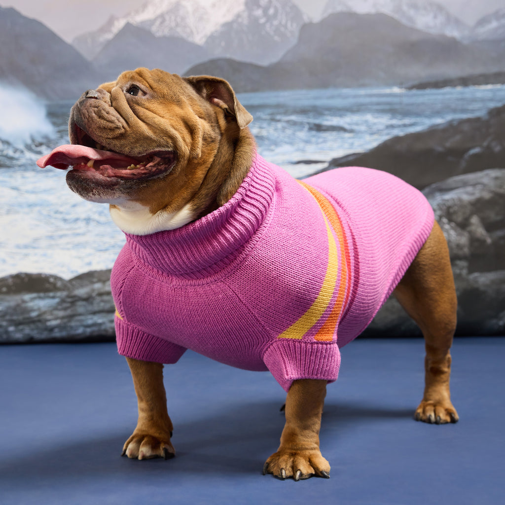 GF PET® Coastline Knit Sweater