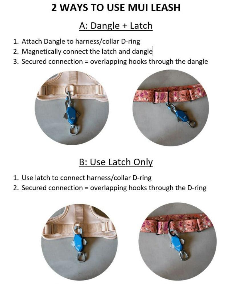 Patented Magnetic Dog Leash