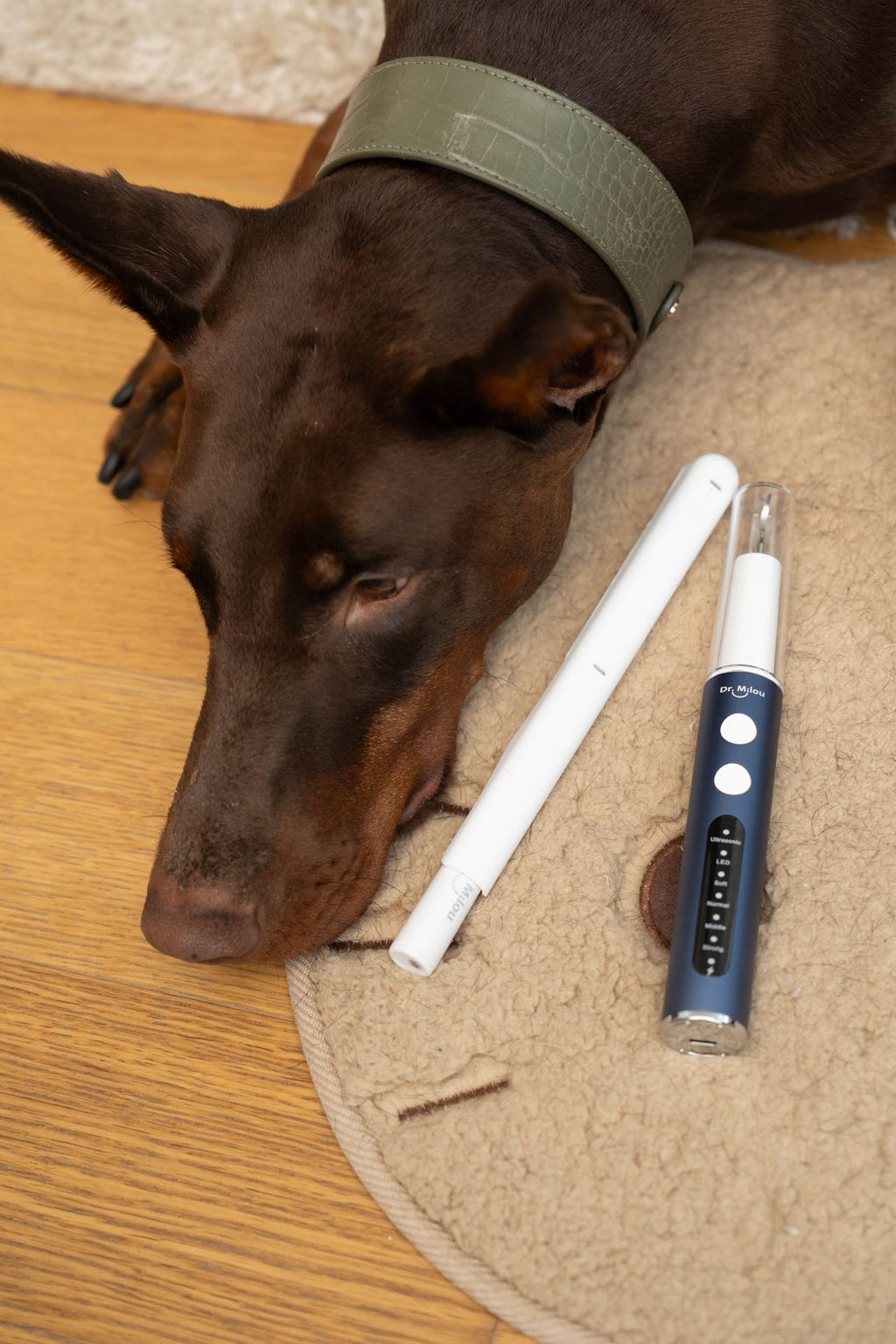 Dr. Milou® | Anesthesia-Free Pet Dental Cleaning Kit: Professional Ultrasonic Tartar Remover & Electric Toothbrush for Dogs & Cats