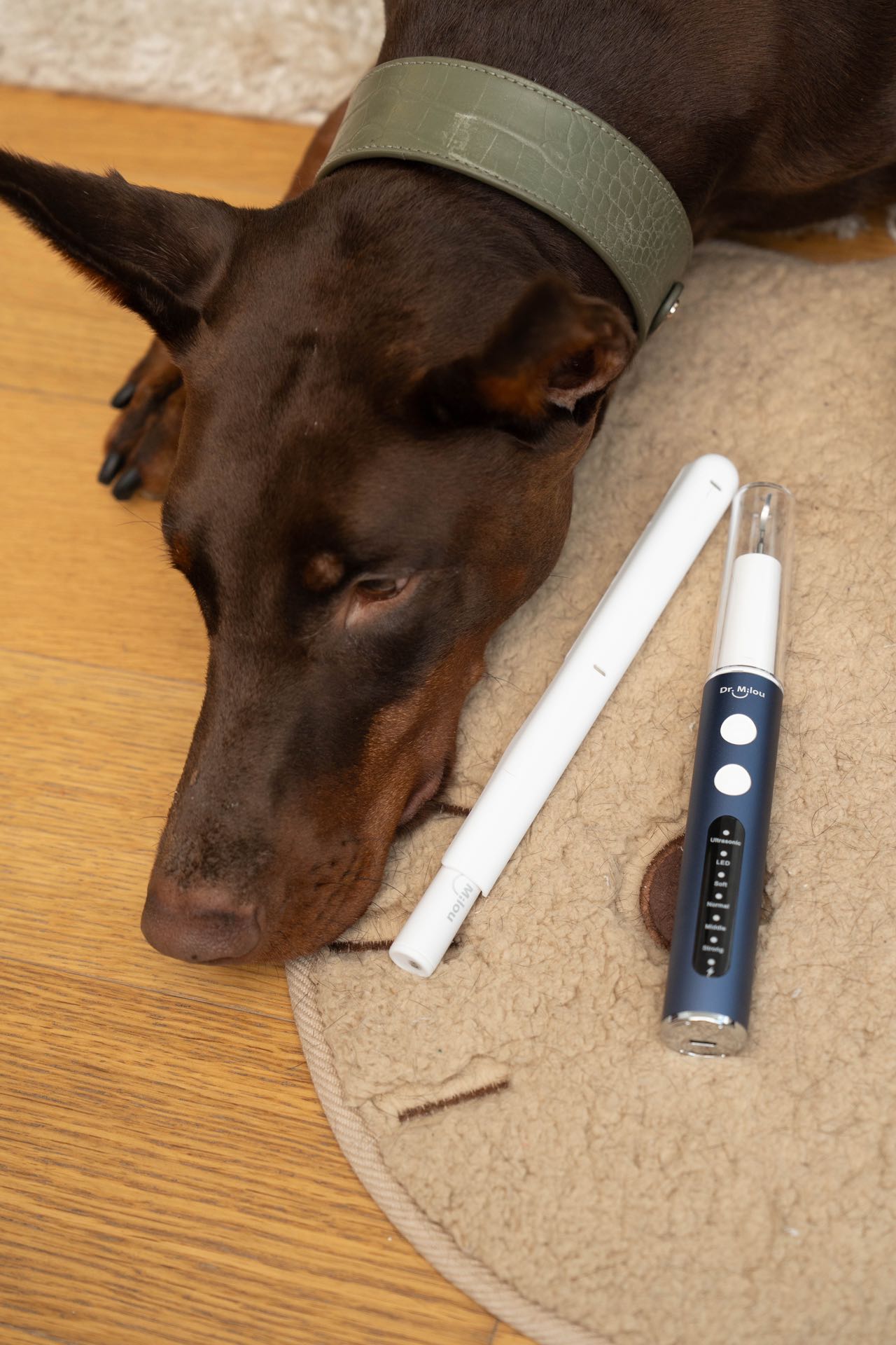 Dr. Milou® | Anesthesia-Free Pet Dental Cleaning Kit: Professional Ultrasonic Tartar Remover & Electric Toothbrush for Dogs & Cats