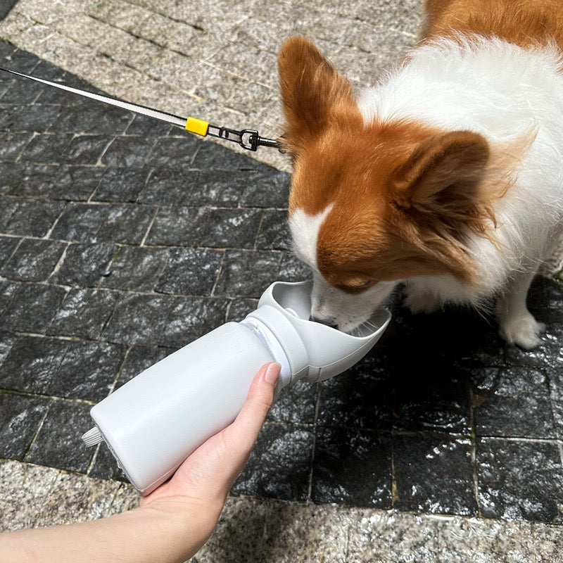 Milou & Lumi | Portable Collapsible Pet Water Bottle