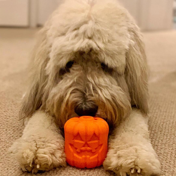 SodaPup® Jack O' Lantern Dog Toy - Durable Halloween Chew Toy for Large Dogs | USA Made