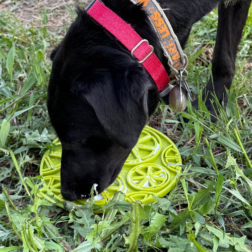 SodaPup® Citrus Design eMat - Enrichment Lick Mat For Dogs and Cats - with Suction Cups | USA Made
