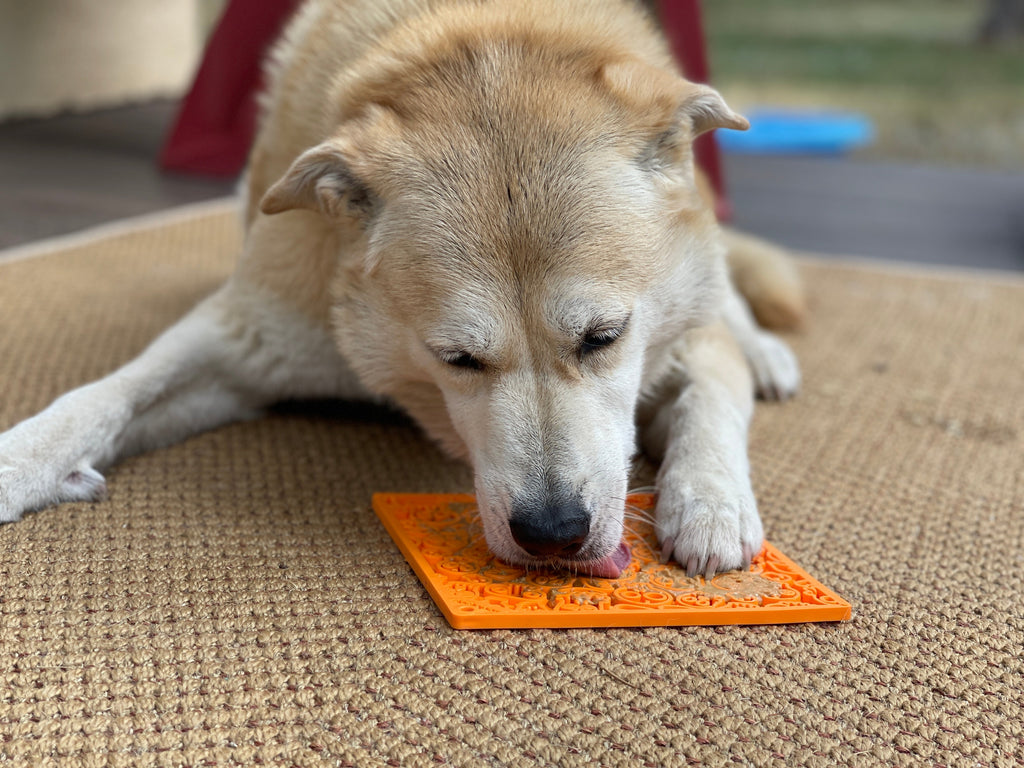 SodaPup® Zombie eMat - Enrichment Lick Mat for Dogs and Cats | Halloween Skull Design