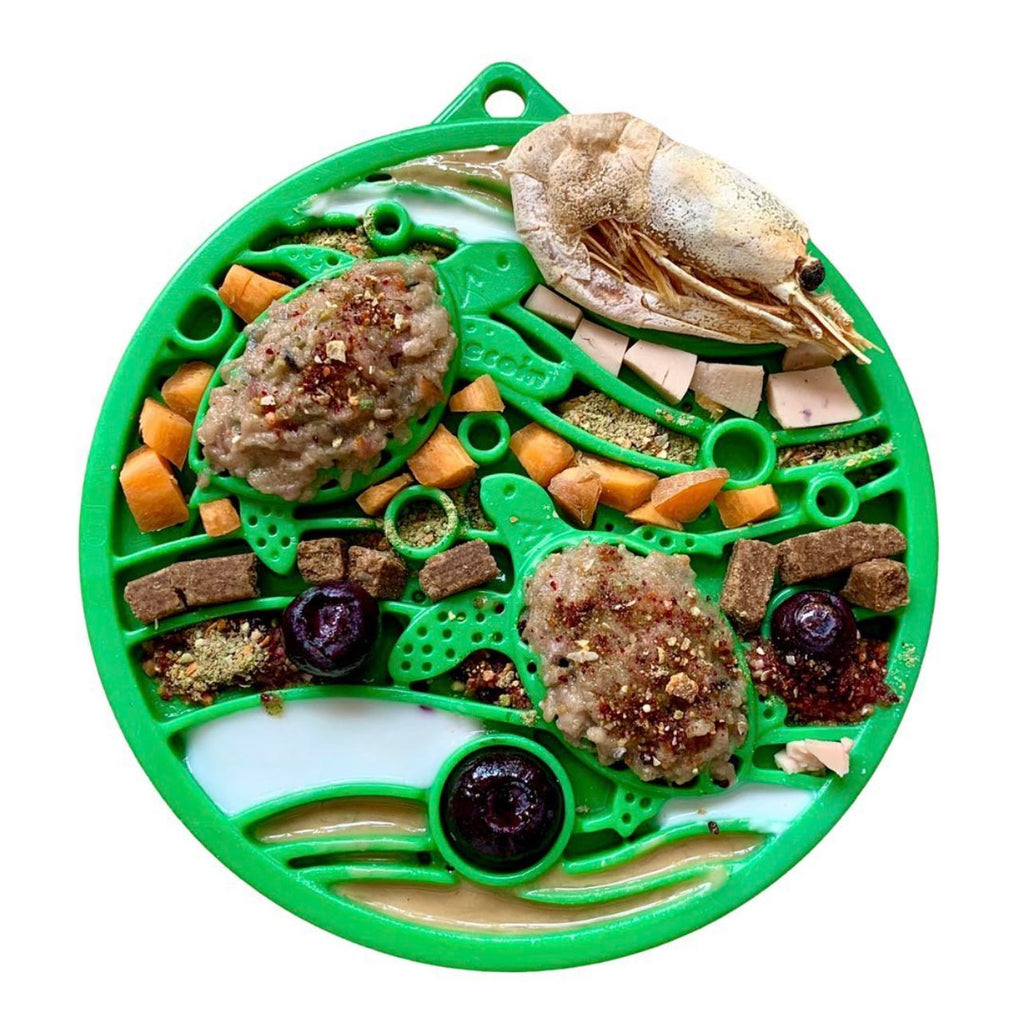 SodaPup® Water Nylon eCoin Durable Enrichment Snacking Coin for Dogs | USA-Made Lick Mat Alternative