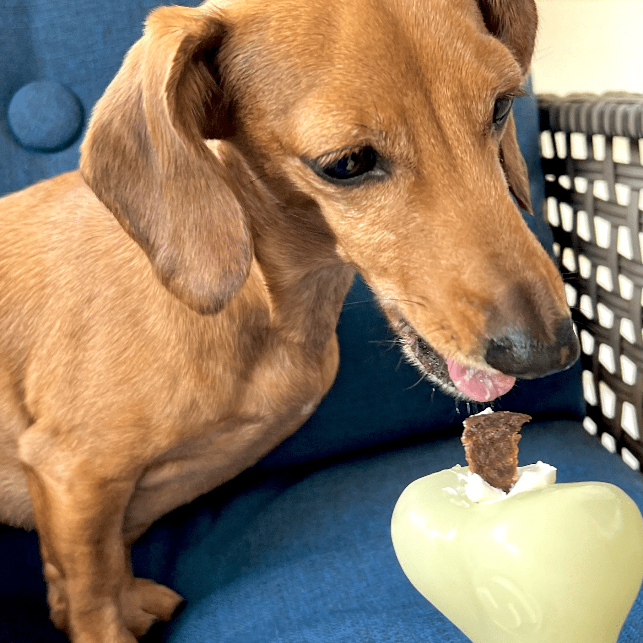 Farm To Pet Dog Treat Dispensers