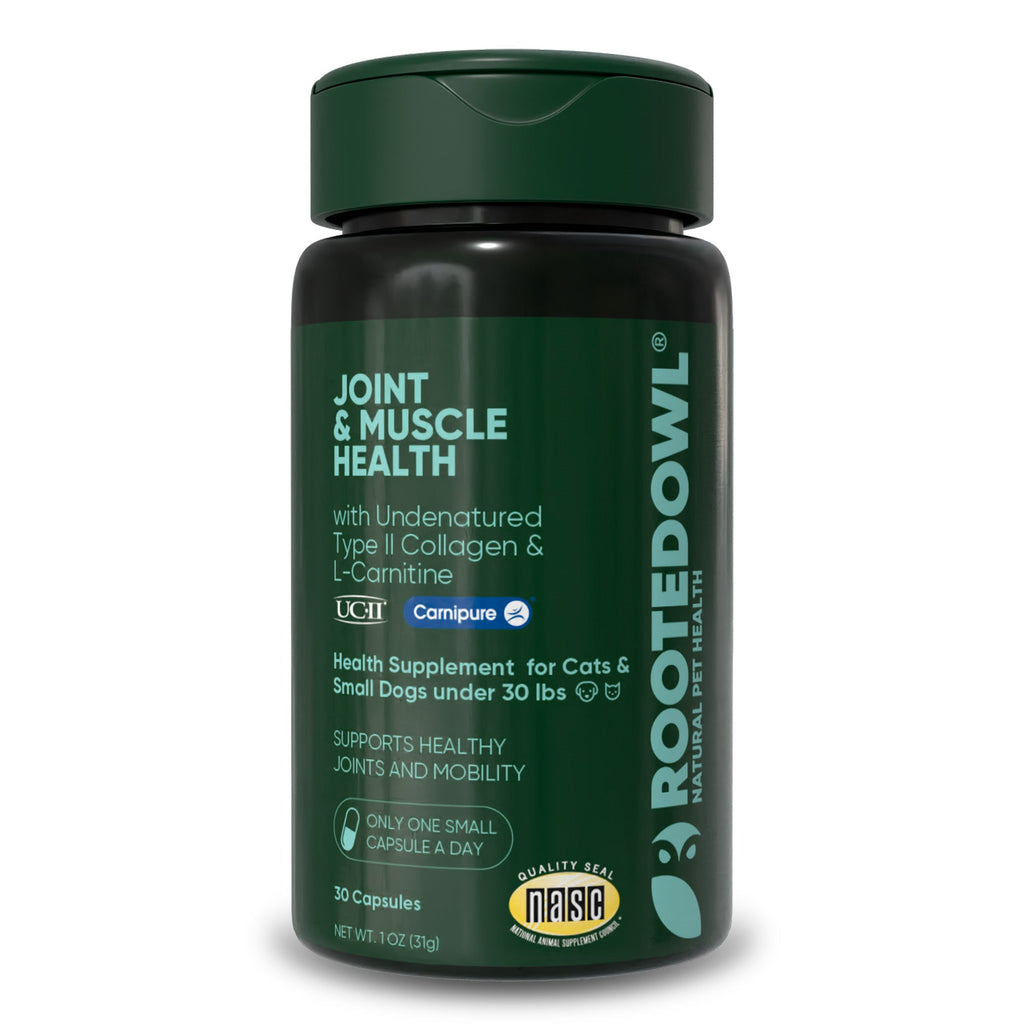 Rooted Owl® Joint & Muscle Health (Cats & Small Dogs)
