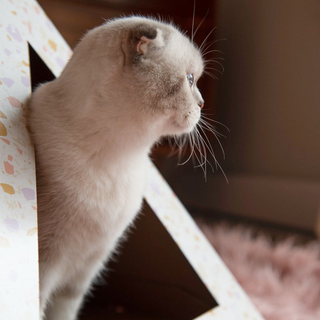 Kitty Kardboard® 'Terrazzo' Cardboard Cat Pyramid