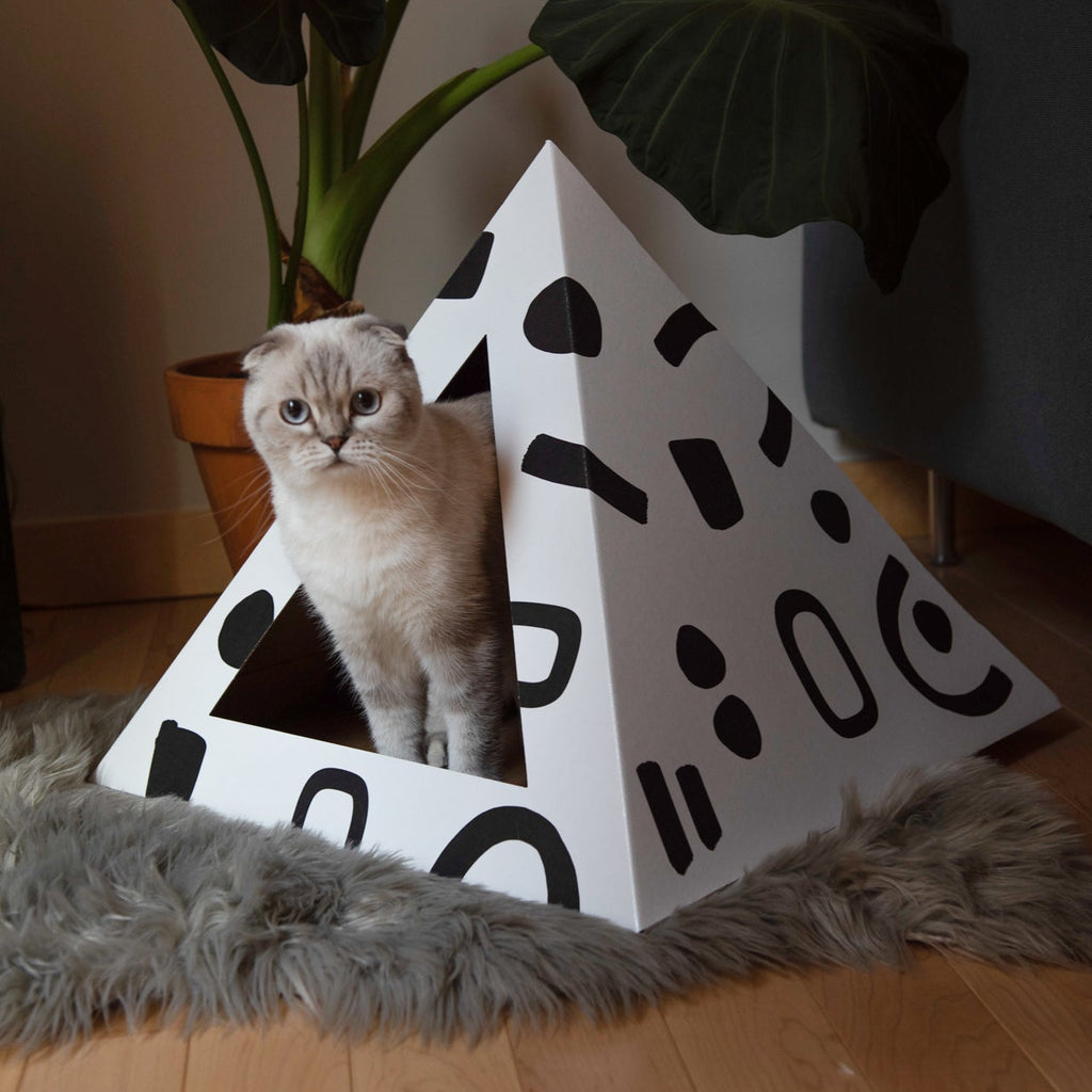 'Doodle' Cardboard Cat Pyramid
