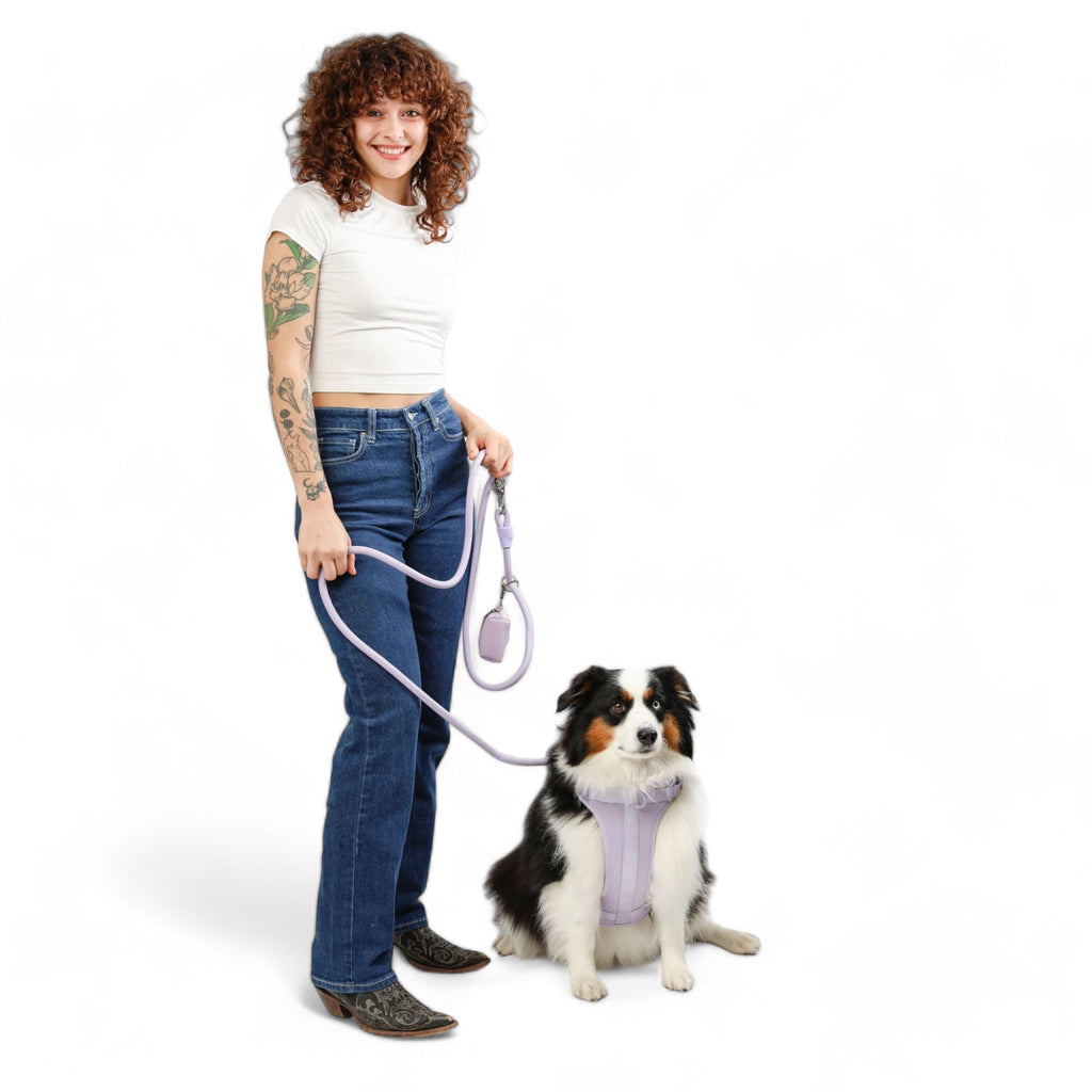 Come Here Buddy Kismet Dog Leash