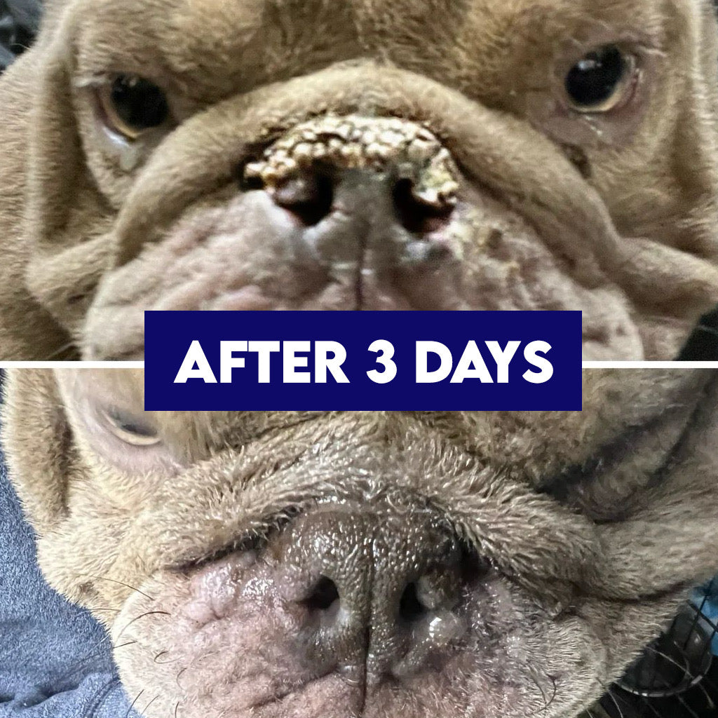 Ruff Nose - Pet Nose Repair Balm - 4 oz