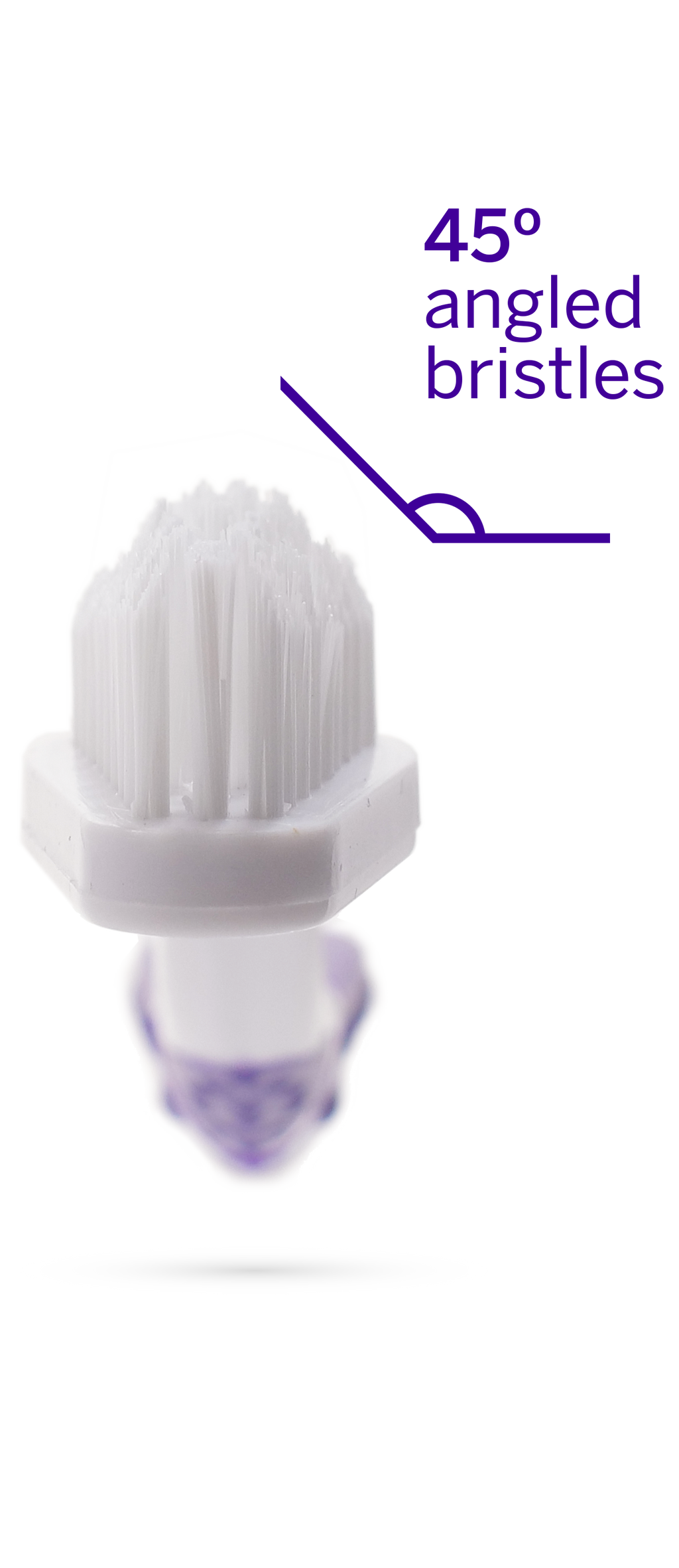 Professional Toothpaste London Broil Large & Professional Pet Toothbrush