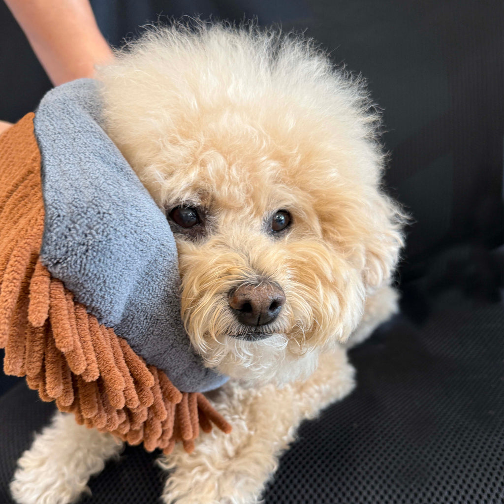 PRIDE + GROOM THE MAGIC MITT