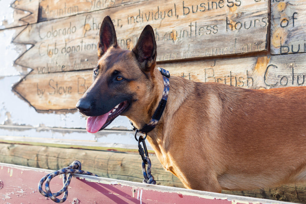 Euro-Dog Climbing Rope Dog Leash