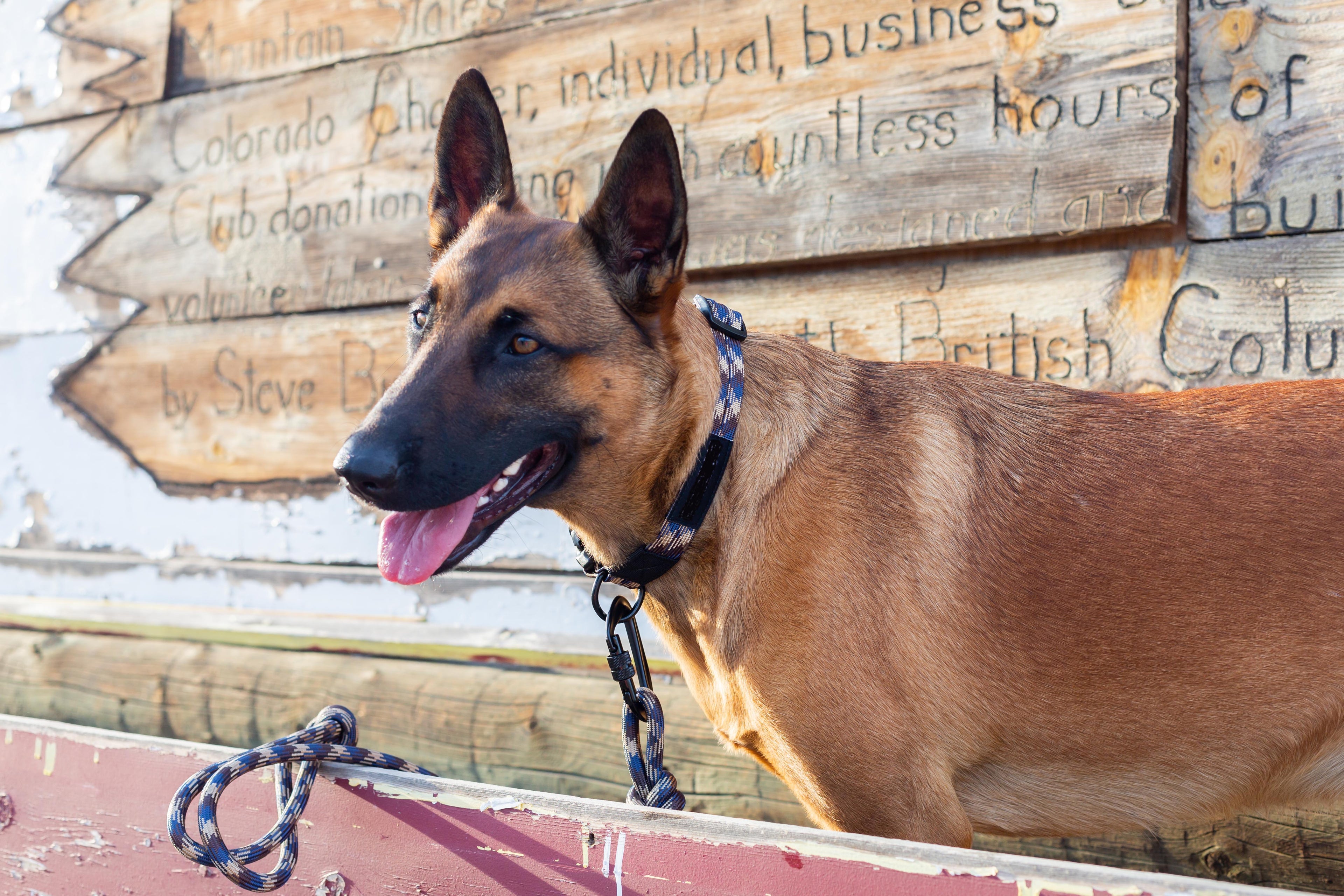 Euro-Dog Climbing Rope Dog Collar