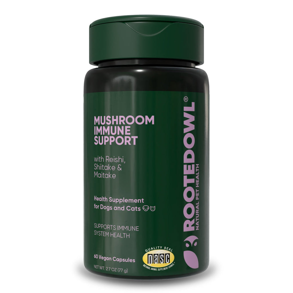 Rooted Owl® Mushroom Immune Support