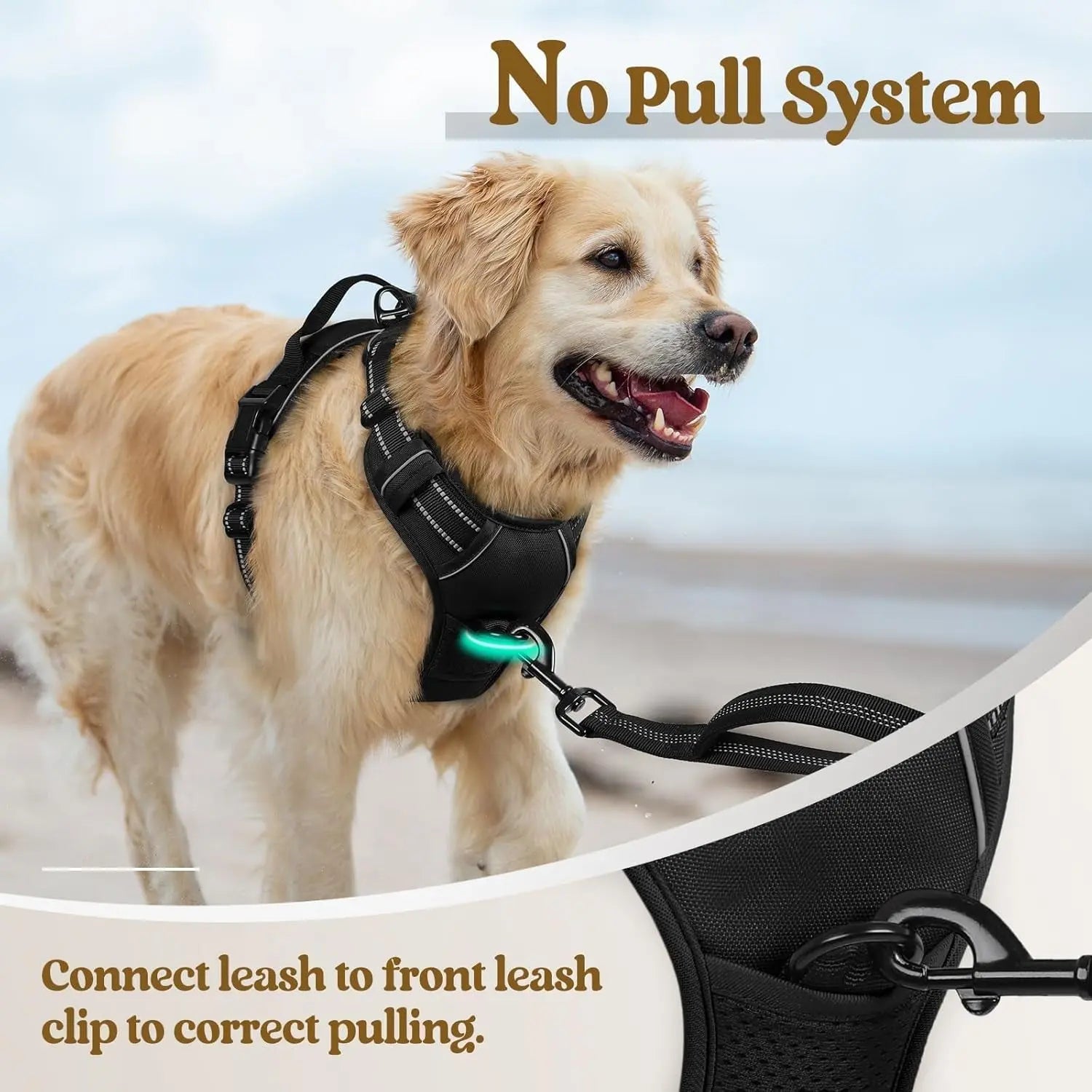 No-Pull Reflective Dog Harness, Heavy-Duty Oxford, Adjustable