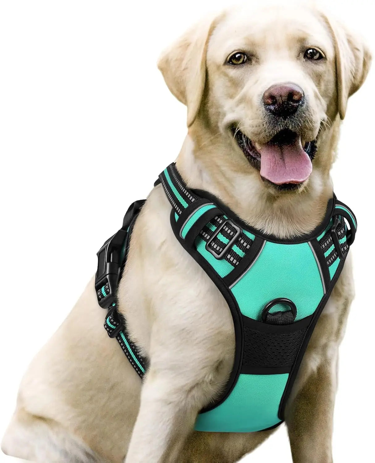 No-Pull Reflective Dog Harness, Heavy-Duty Oxford, Adjustable