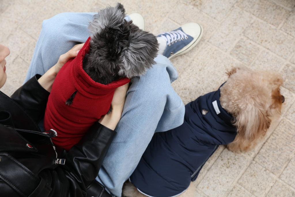 Pehom | Reversible Dog Vest Jacket - Red