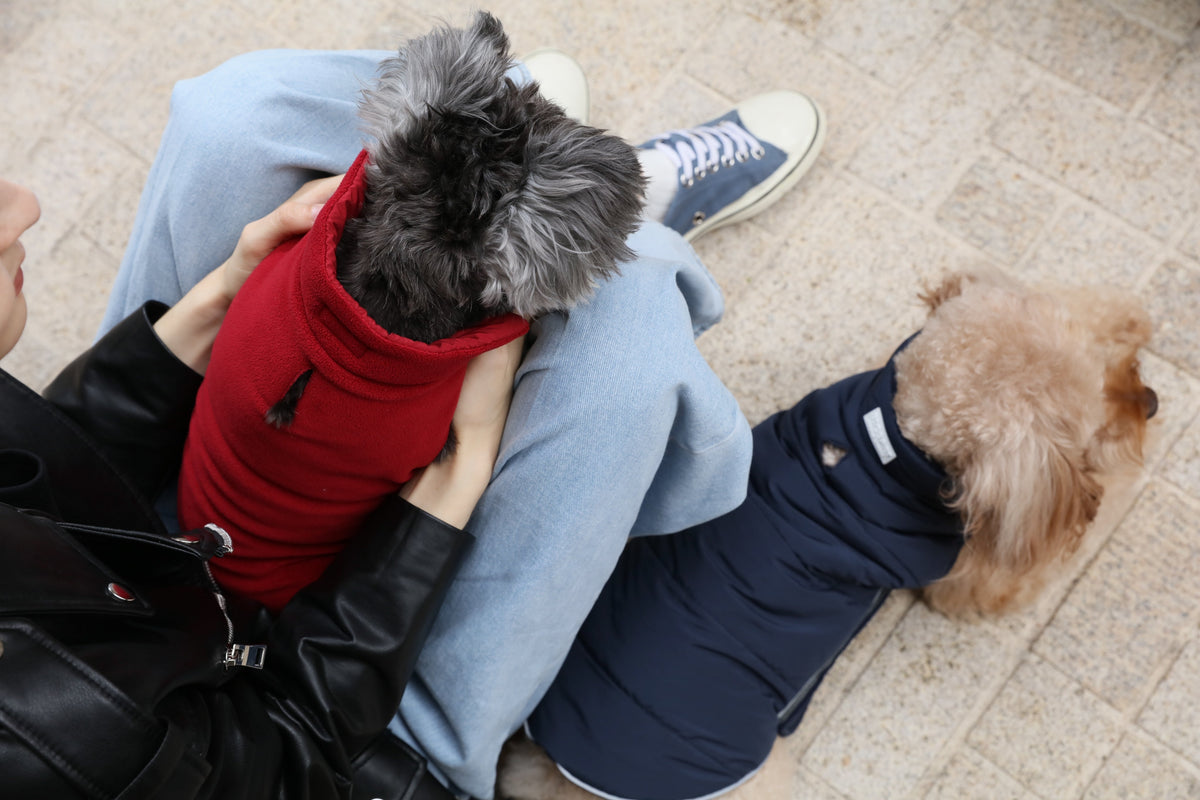 Pehom | Reversible Dog Vest Jacket - Red