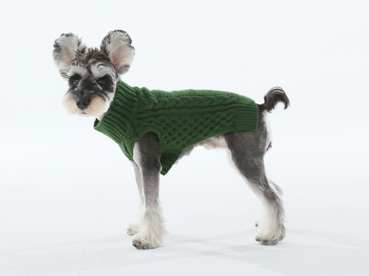 Pehom | Pet Sweater Vest - Green
