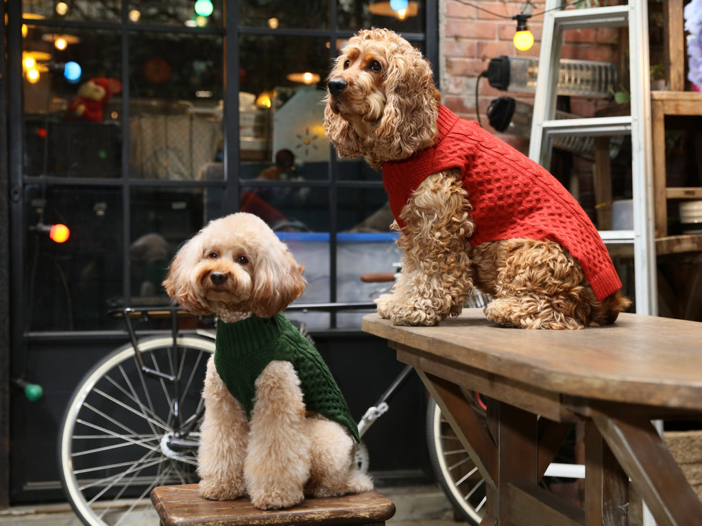 Pehom | Pet Sweater Vest - Green