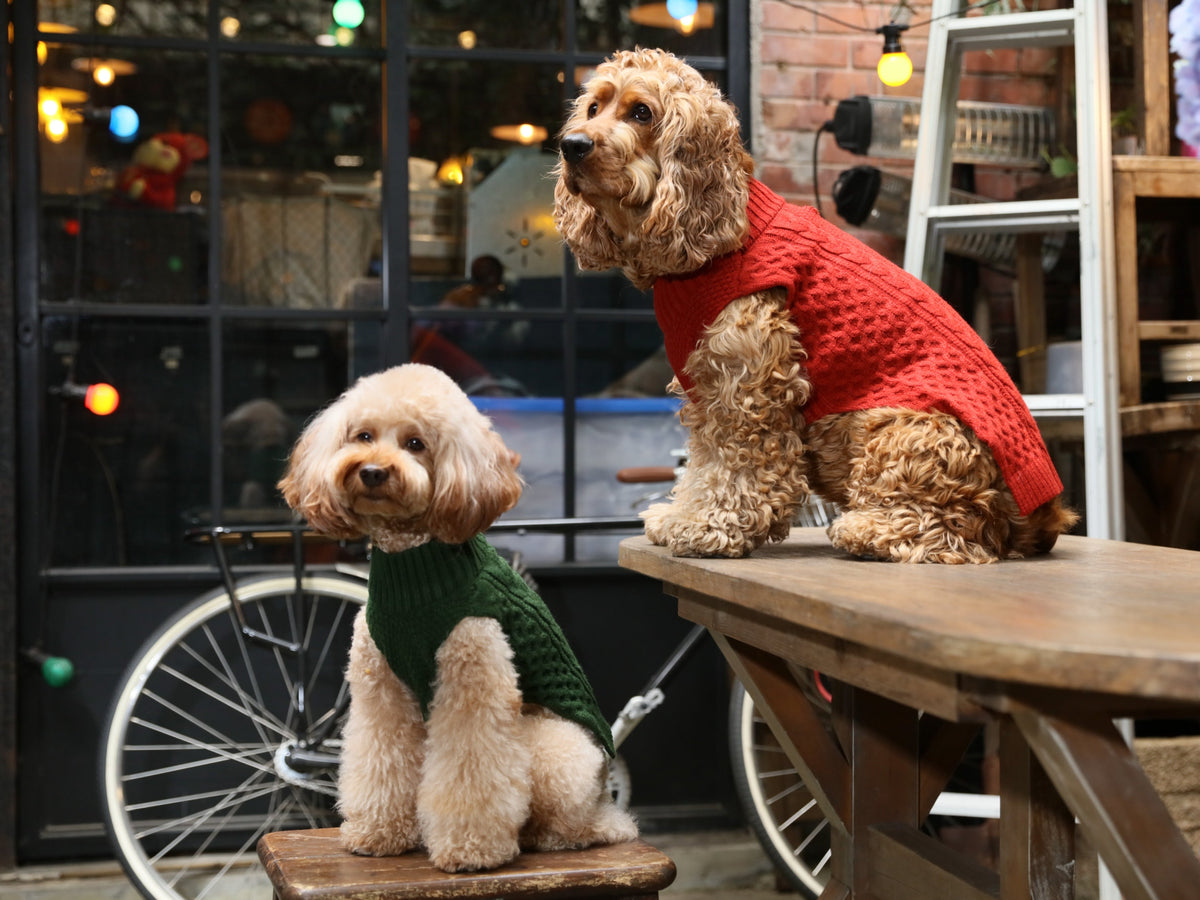 Pehom | Pet Sweater Vest - Green