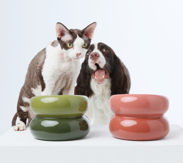 Pehom | Soufflé Pet Bowl - Amber Orange