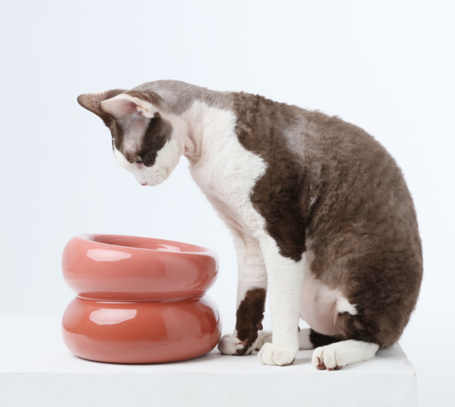 Pehom | Soufflé Pet Bowl - Rose Pink