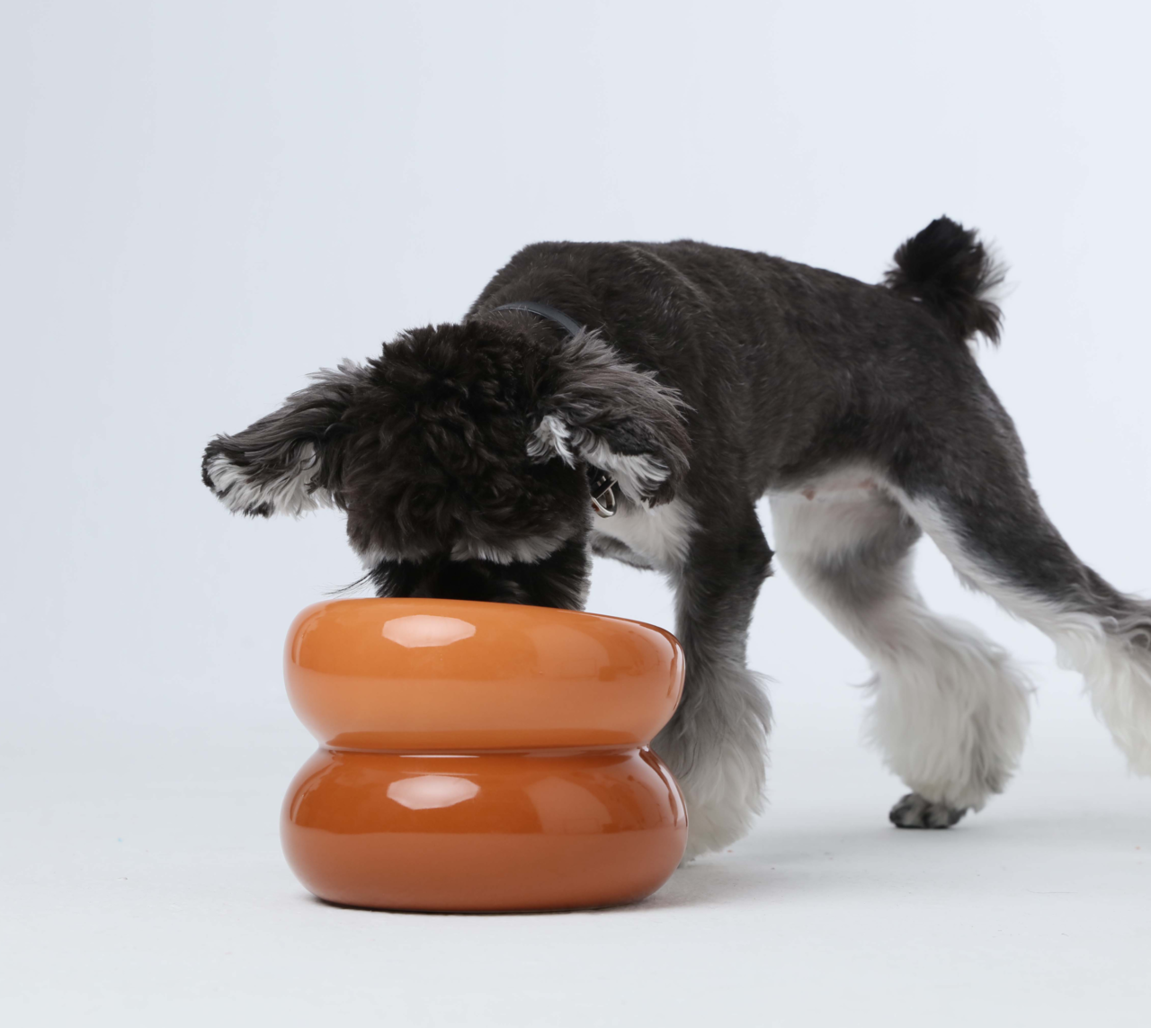 Pehom | Soufflé Pet Bowl - Amber Orange