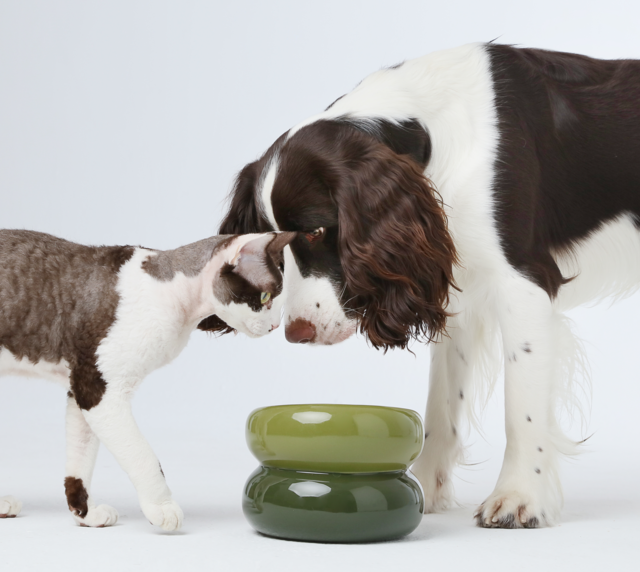 Pehom | Soufflé Pet Bowl - Avocado Green