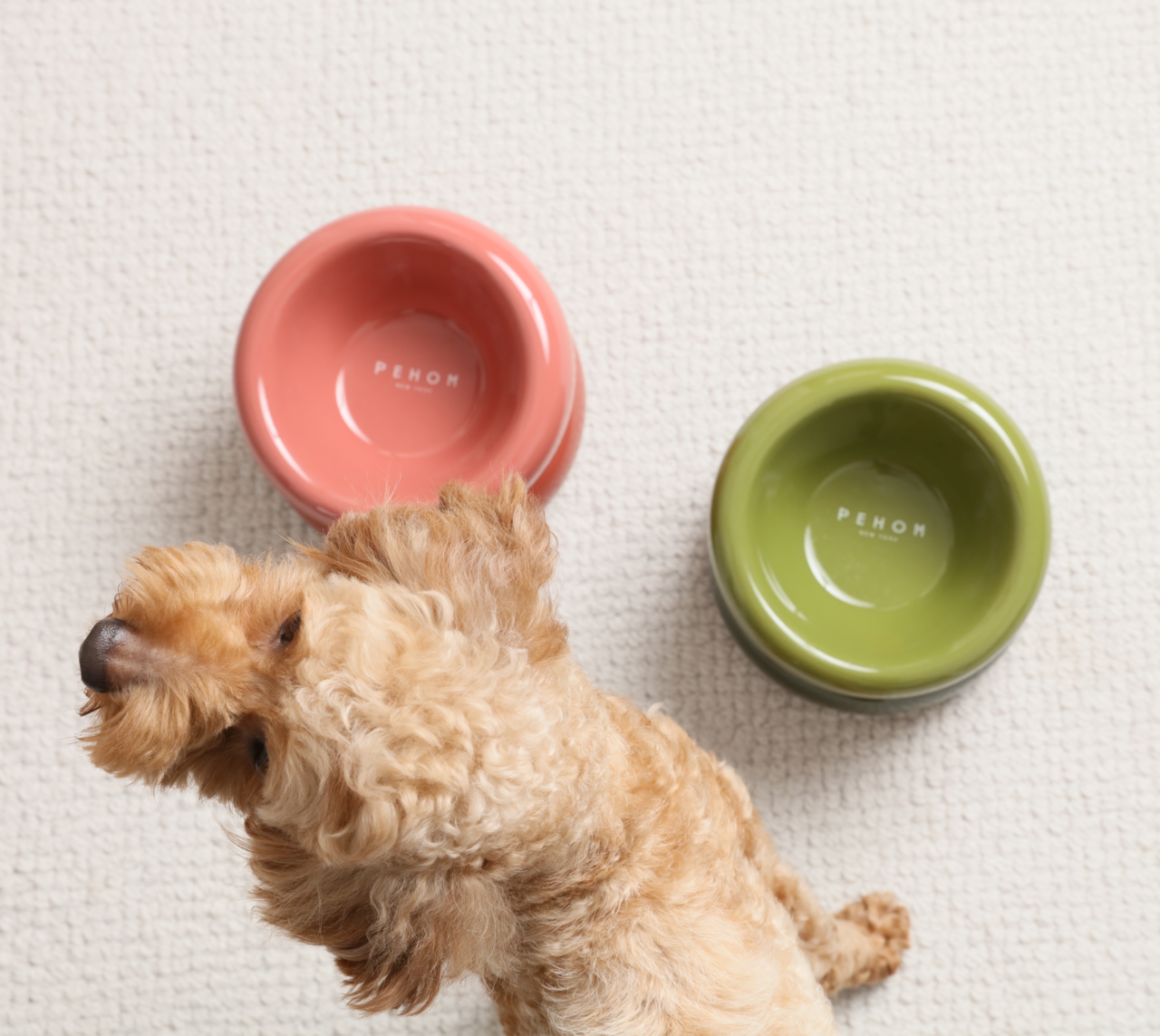Pehom | Soufflé Pet Bowl - Rose Pink