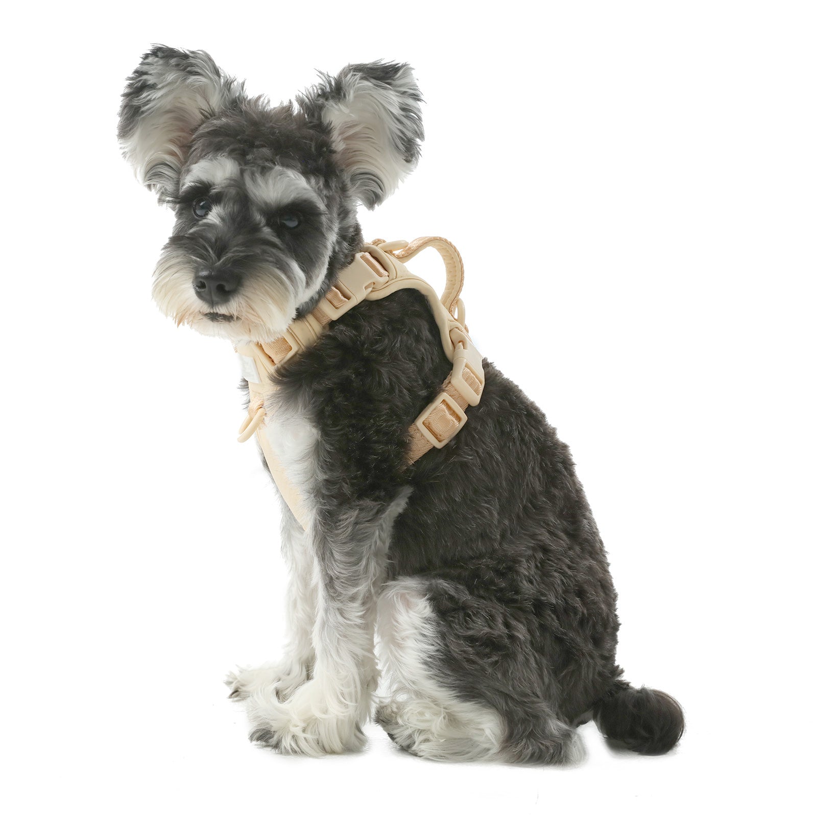 Pehom | No Pull Active Pet Harness - Apricot
