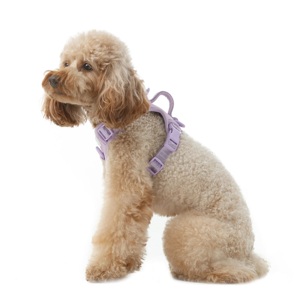Pehom | No Pull Active Pet Harness - Mint Purple