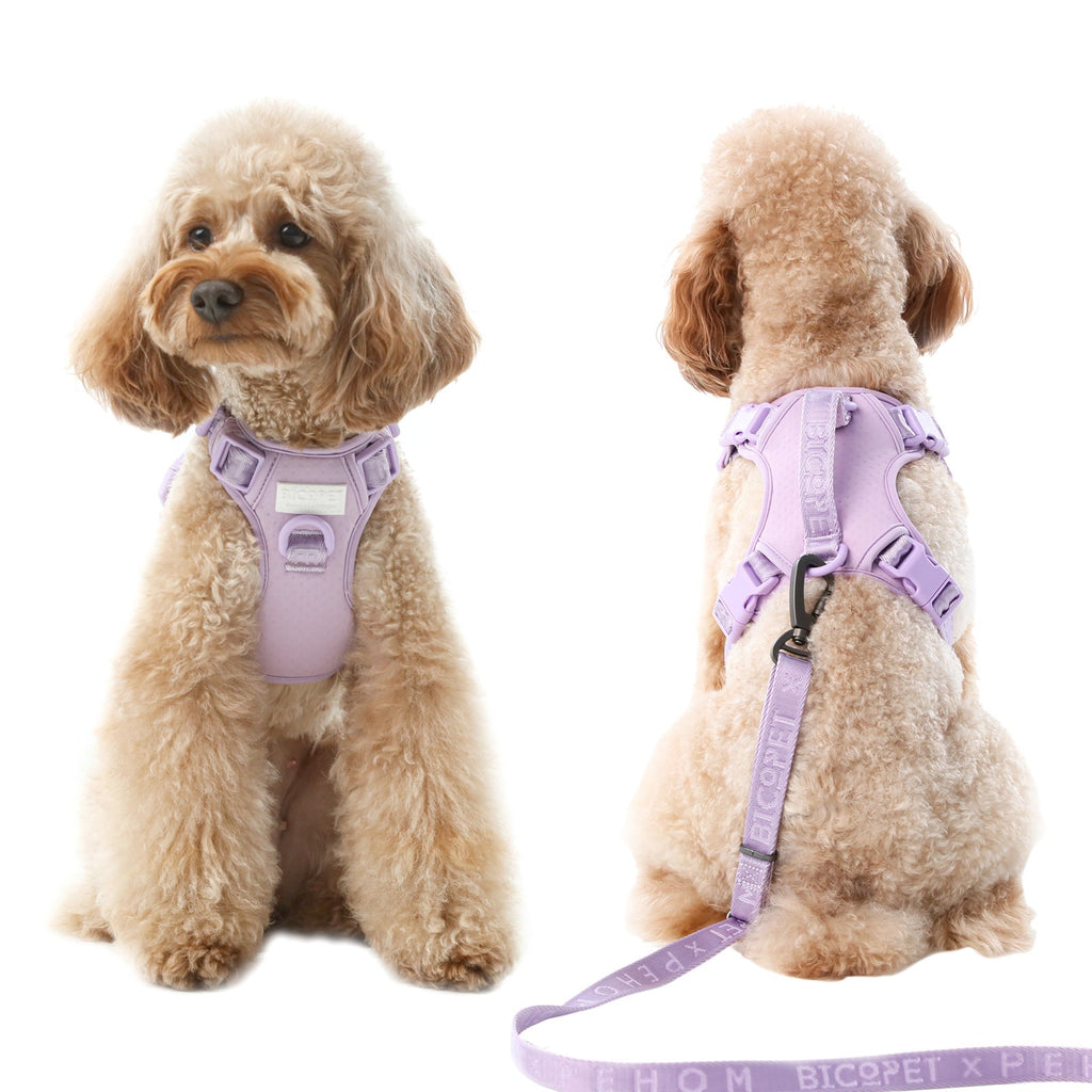 Pehom | No Pull Active Pet Harness - Mint Purple