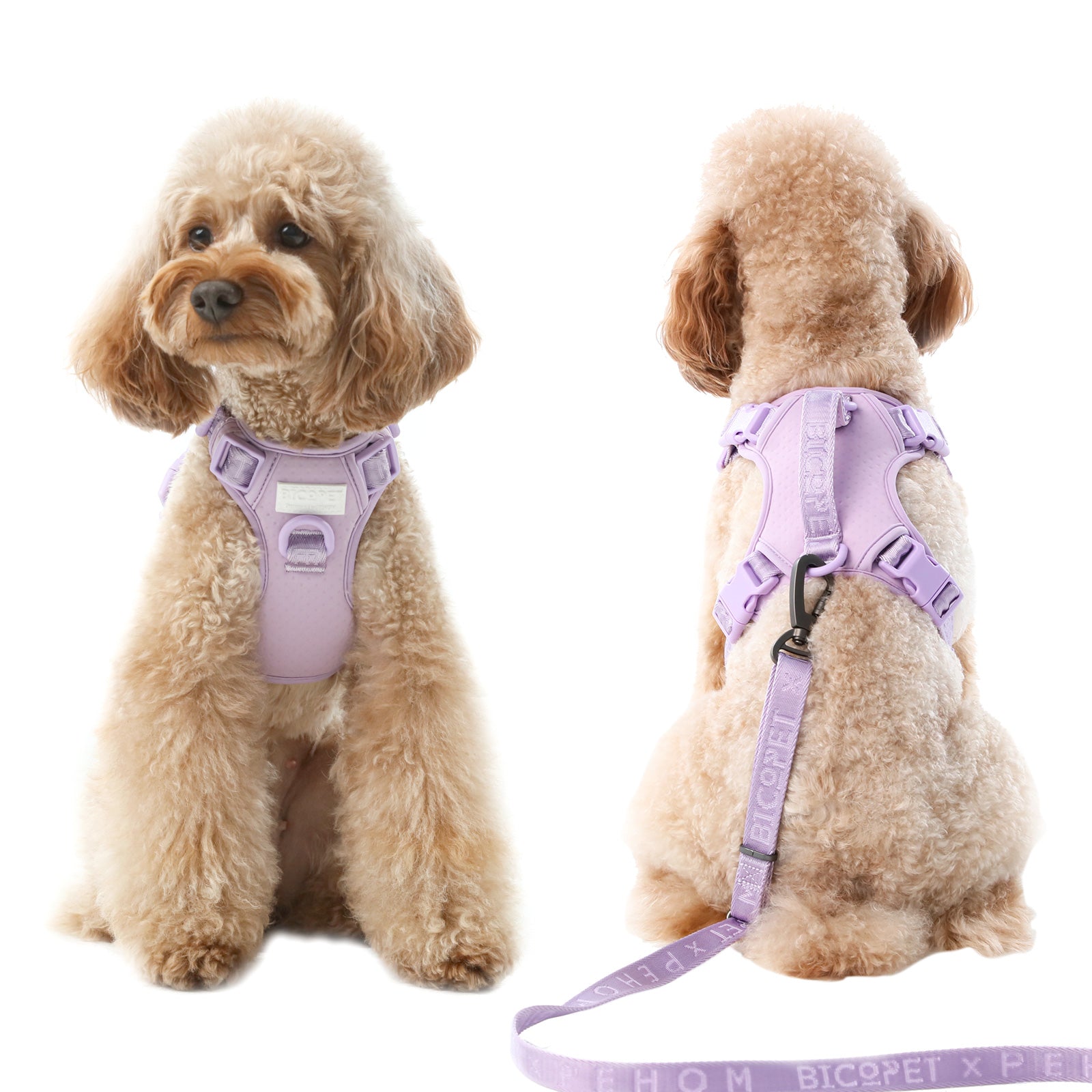 Pehom | No Pull Active Pet Harness - Mint Purple