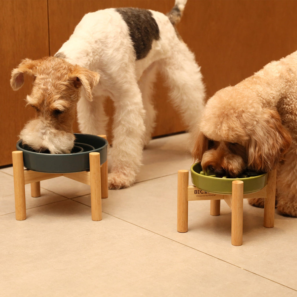 Pehom | Wave Slow Feeder Dog Bowls