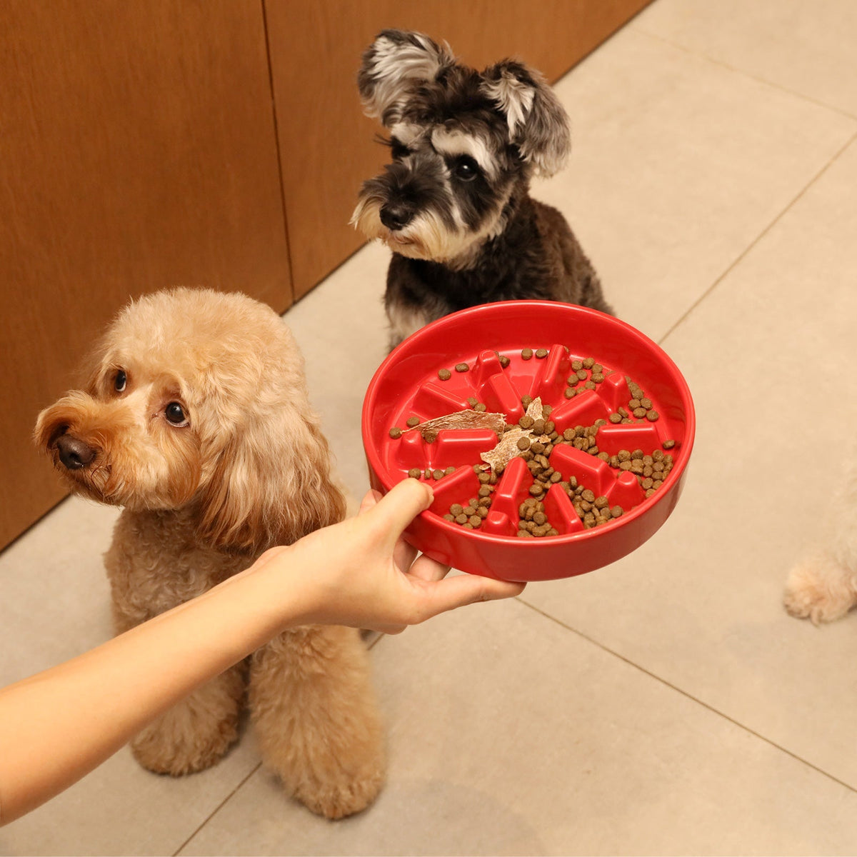Pehom | Slow Feeder Dog Bowls - Red / Green / Blue