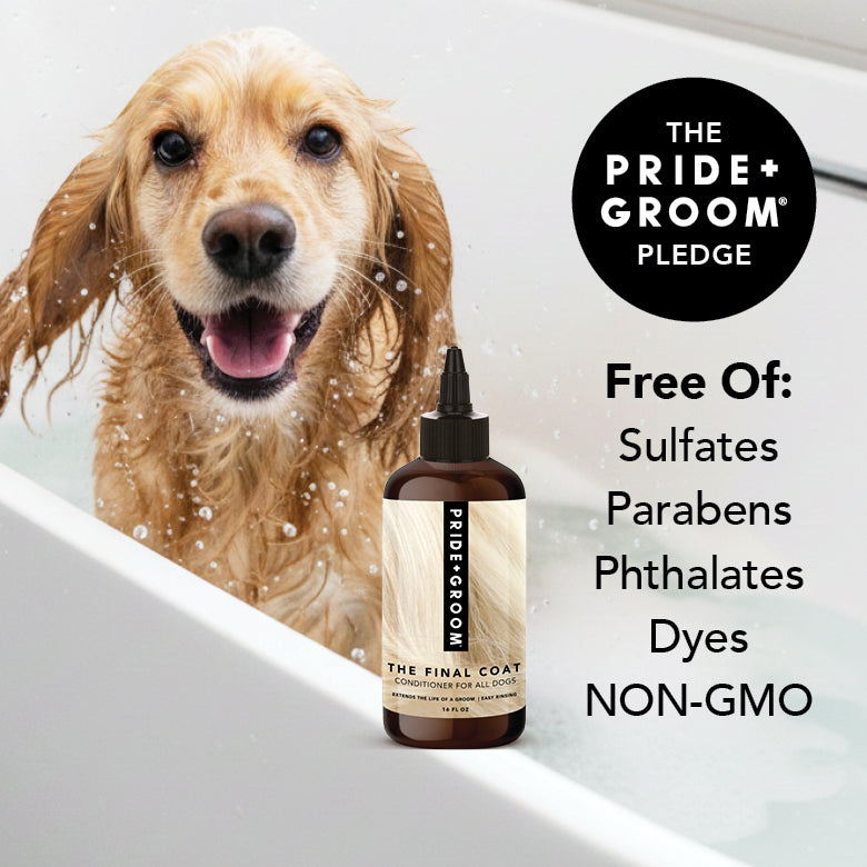 PRIDE + GROOM THE FINAL COAT Dog Conditioner